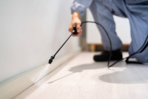 Licensed Pest Control service in Jackpot, NV - Show Me Pest Control