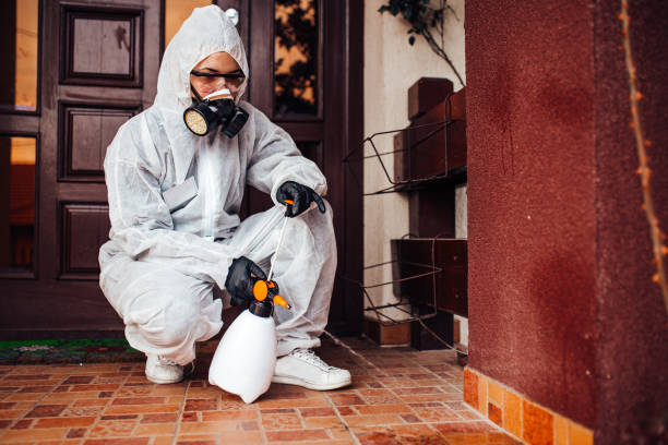Reliable Wasp Removal contractor in Jackpot, NV by Show Me Pest Control